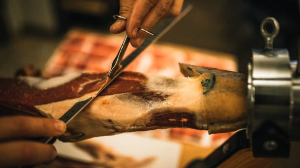 Roots Presunto Pata Negra