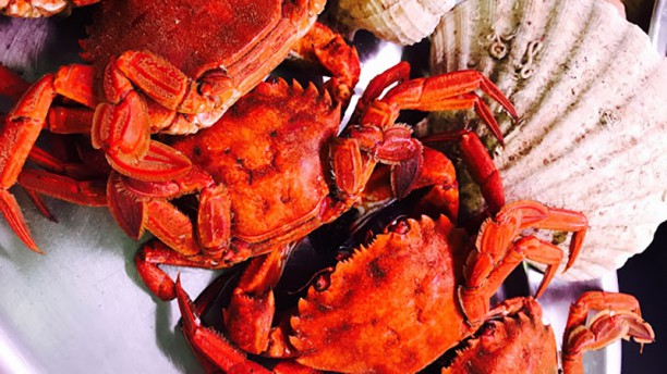 Cervejaria Marisqueira de Vilamoura Sugestão prato