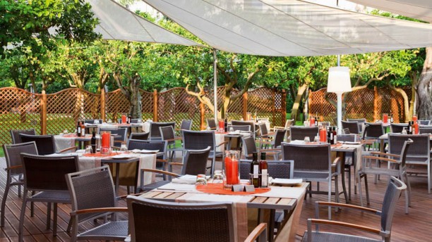 L Orangerie Poolside Bar Restaurant In Sorrento Restaurant