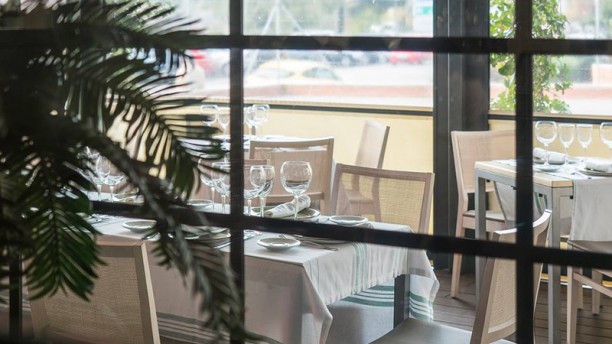 El Gallego in Madrid - Restaurant Reviews, Menu and Prices - TheFork