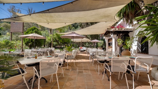 Cascada Cocina & Bar in Marbella - Restaurant Reviews, Menu and Prices ...