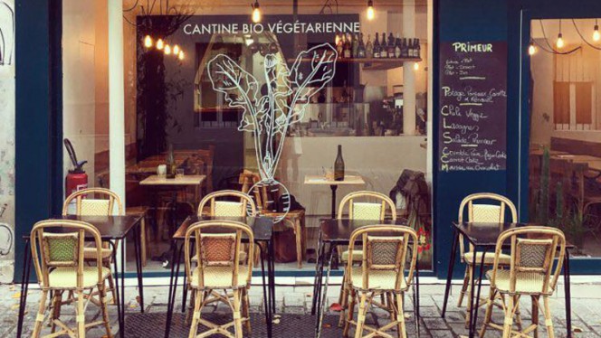 Cantine Primeur - Restaurant - Paris