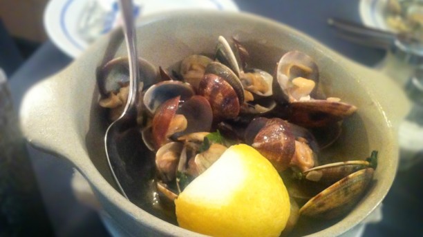 A Primavera do Jerónimo sugestão do chef