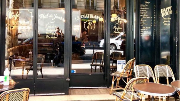 Le Chat Blanc In Paris Restaurant Reviews Menu And Prices