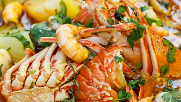 Sol Dourado Marisco 2