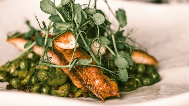 Saudade - Cocktail & Restaurant Sugestão do chef