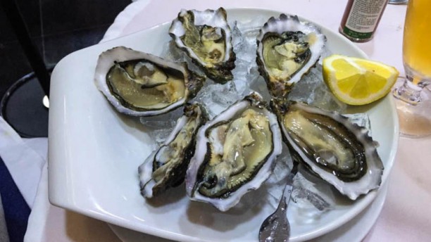 Concha D'Ouro Sugestão prato