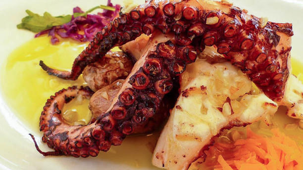 Concha D'Ouro Sugestão prato