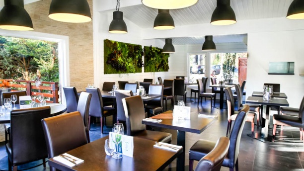 La Parenthèse Verte Vue salle