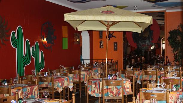 coyote cafe coyote cafe