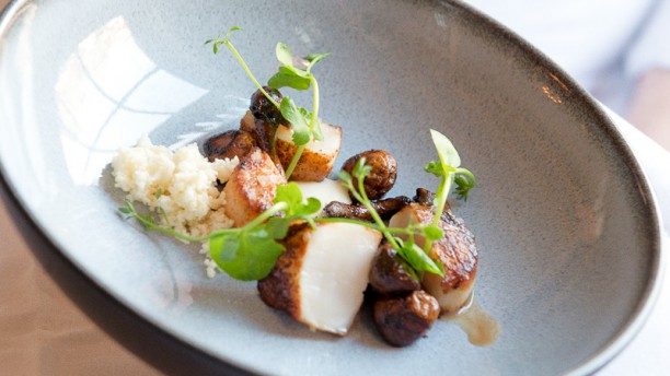 De Compagnon Suggestie