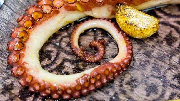 Taberna Moderna Sugestão do chef