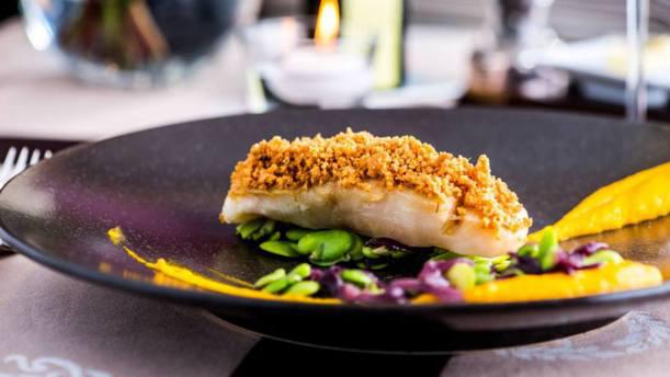 Hotel d'Angleterre - Windows Assiette