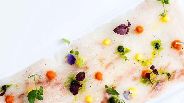 Hotel d'Angleterre - Windows Plat