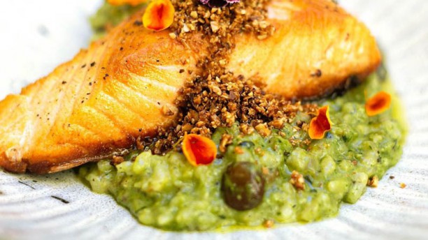 DOM 47 - Arte e Gastronomia Sugestão prato