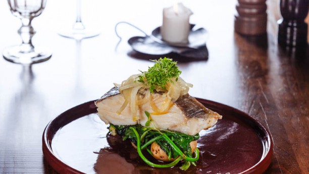 D. Afonso o Gordo Prato