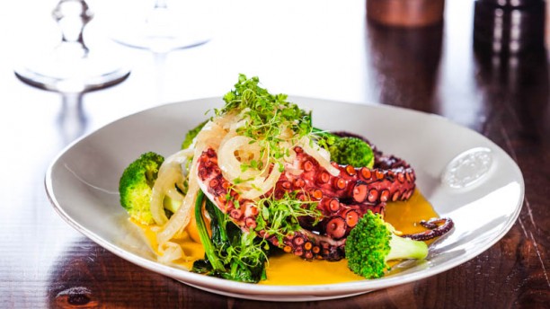 D. Afonso o Gordo Prato